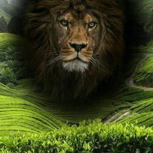 Meet your Posher, Victor